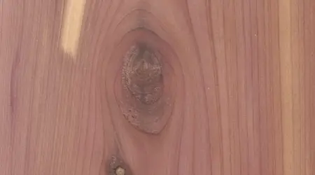 aromatic-red-cedar