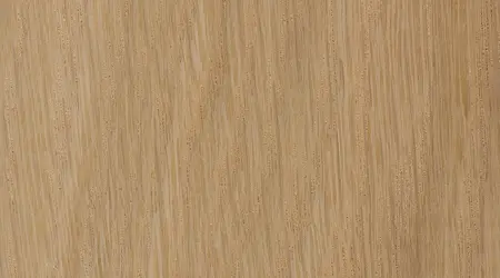quercus-alba-fs-1